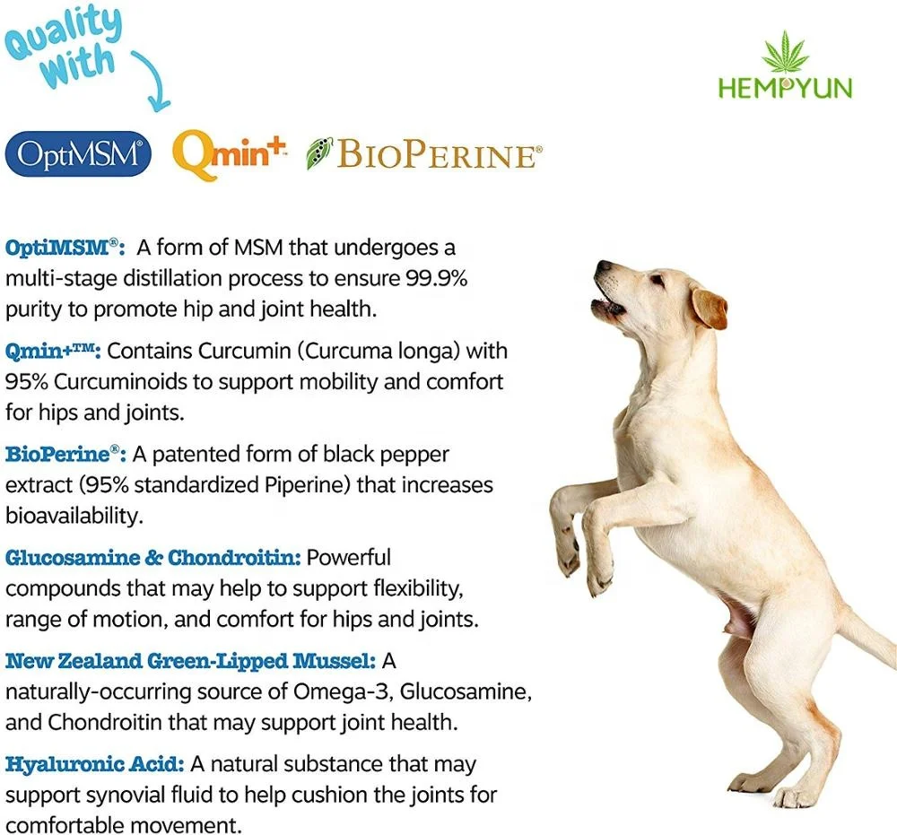 Mobility Chews for hip and joint top sales dog food with glucosamine msm turmeric  in stocks