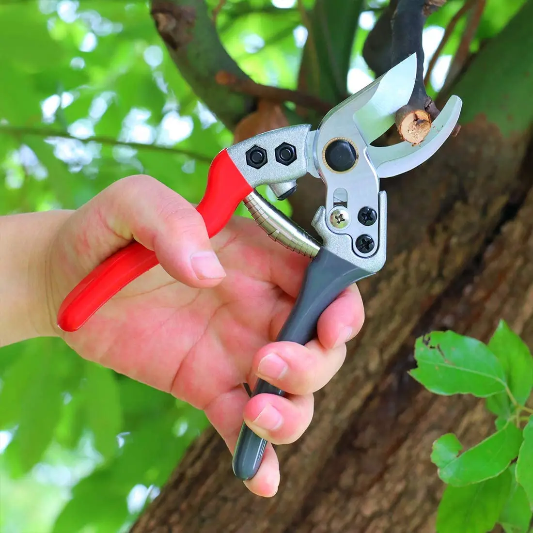 Горячая Распродажа, Китай, ручной инструмент из нержавеющей стали, домашний садовый секатор, секаторы для растений, секаторы