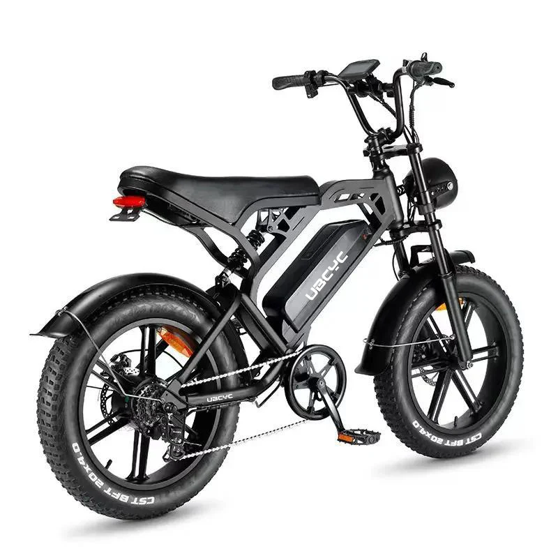 Electric Fat Bike 20-Inch Aluminum Alloy 500W 750W 1000W 48V Lithium Battery 7 Speed Rear Hub Motor Electric Mountain Bike