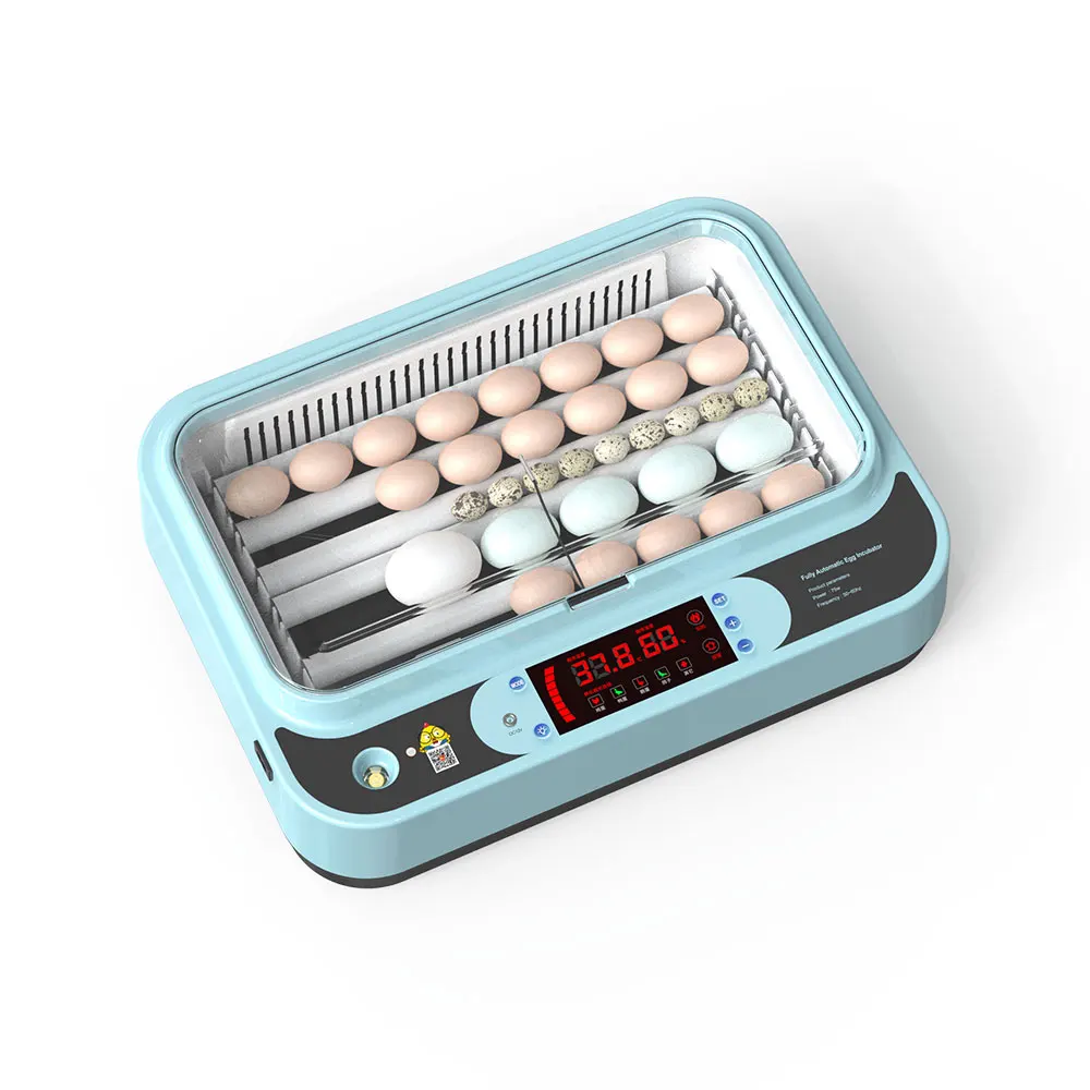 12V /110V/220V Automatic Mini Chicken Egg Incubator For Sale