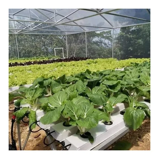 Hot sale pvc channel hydroponic nft gully growing systems for vegetables