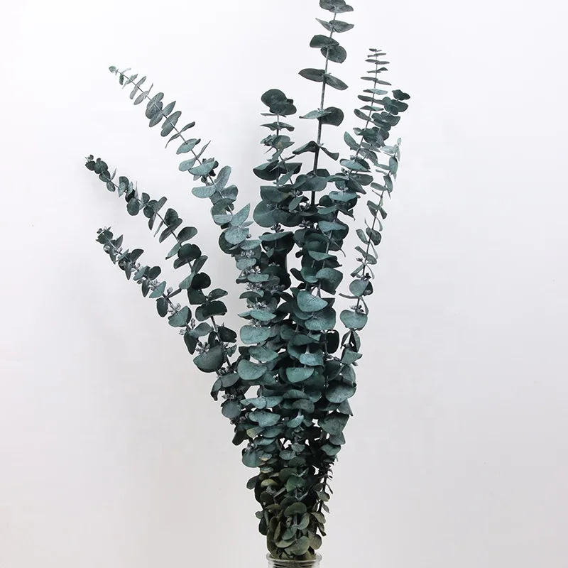 wall decoration white dried plants eucalyptus leaves wreath flower garland preserved flowers dried preserved