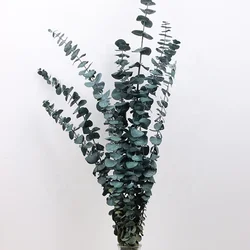 wall decoration white dried plants eucalyptus leaves wreath flower garland preserved flowers dried preserved