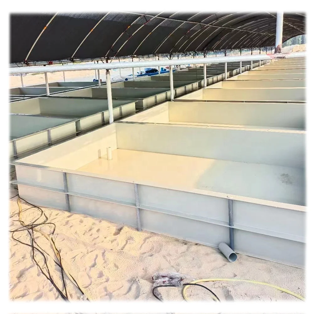 ZSPE Industrial Processing Large Aquaculture Equipment PP Fish Tank For Sales