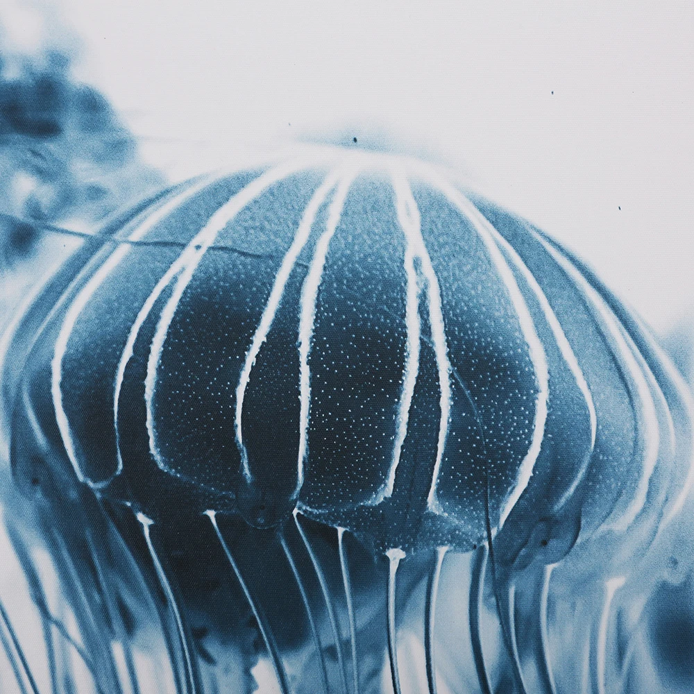 Modern Blue Animal Canvas Printing Art Digital Painting Wall Art Home Decoration Framed and Stretched Living Room Decoration