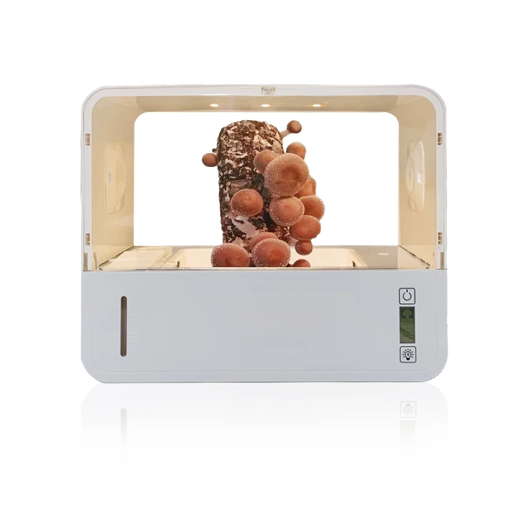 Factory Price Greenhouse Equipment Portable Growth grow case Air Box Mushroom Grow Box Kit