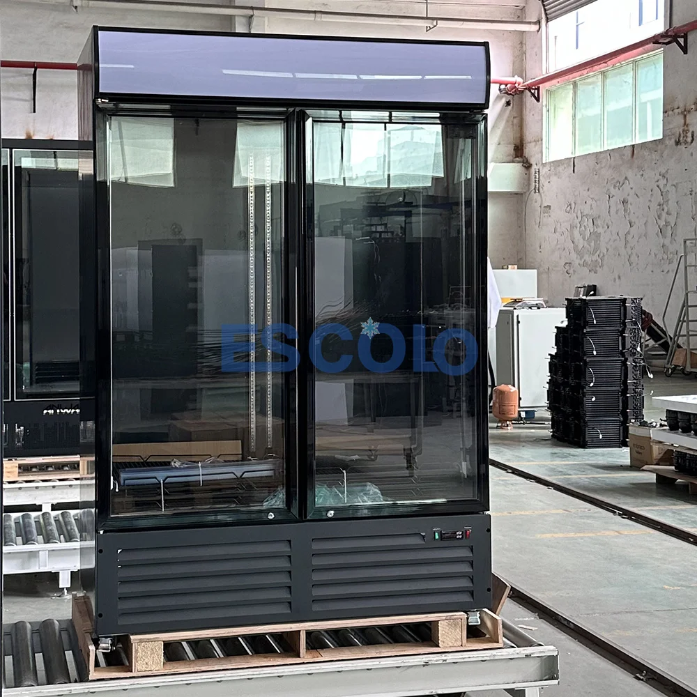 Commercial Restaurant Glass Door 2 Door Freezer With Lock