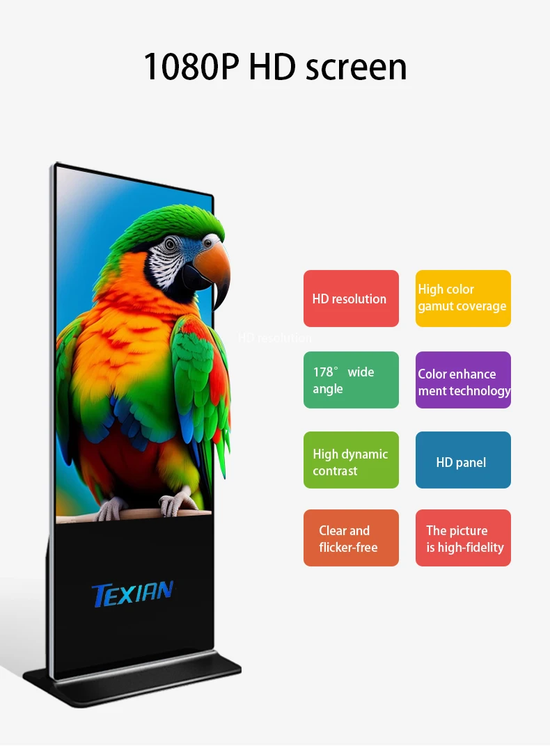 75 Inch Infrared Touch Computer I3 4+128G Library Art Gallery Advertising Machine Window Led Digital Signage Display