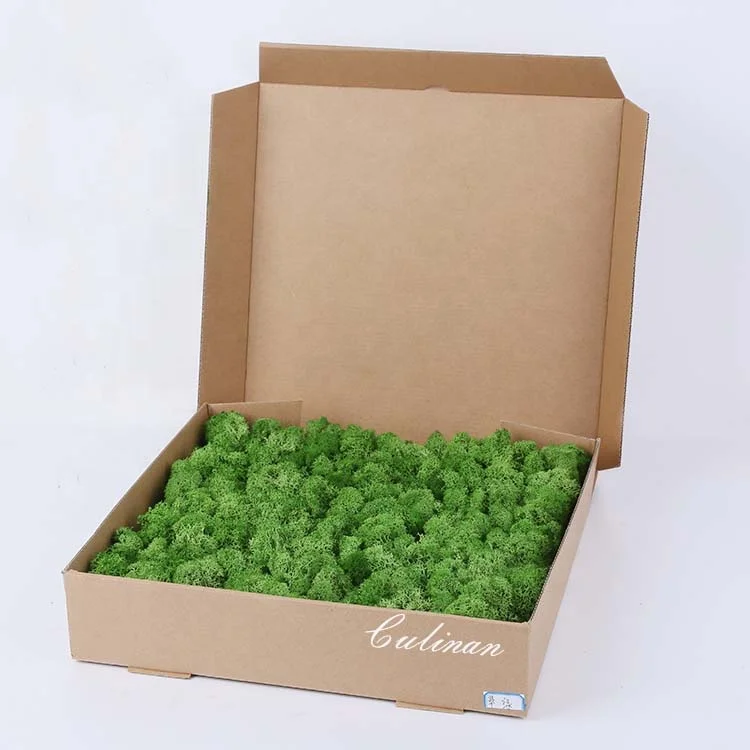 musgo estabilizado lichen moss Preserved Moss Panel Preserved for Decoration