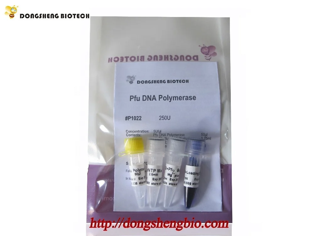 ПФУ ДНК-полимераза, высокоточная ПЦР