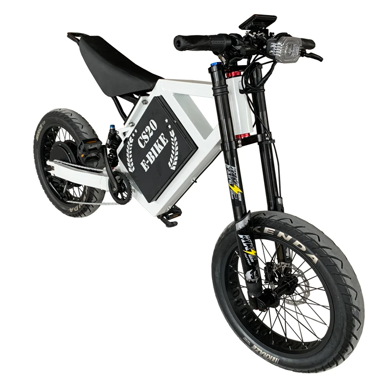Paige Electric Mountain bike CS20 fast motorcycle 3000w 5000w e-bike e fat tire off road e-bicycle lithium battery enduro ebike
