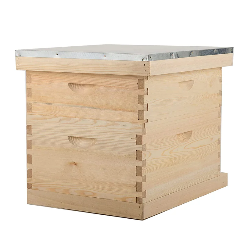 Chinese bee hives wood langstroth hive 10 frame wooden hives for bees beekeeping equipment
