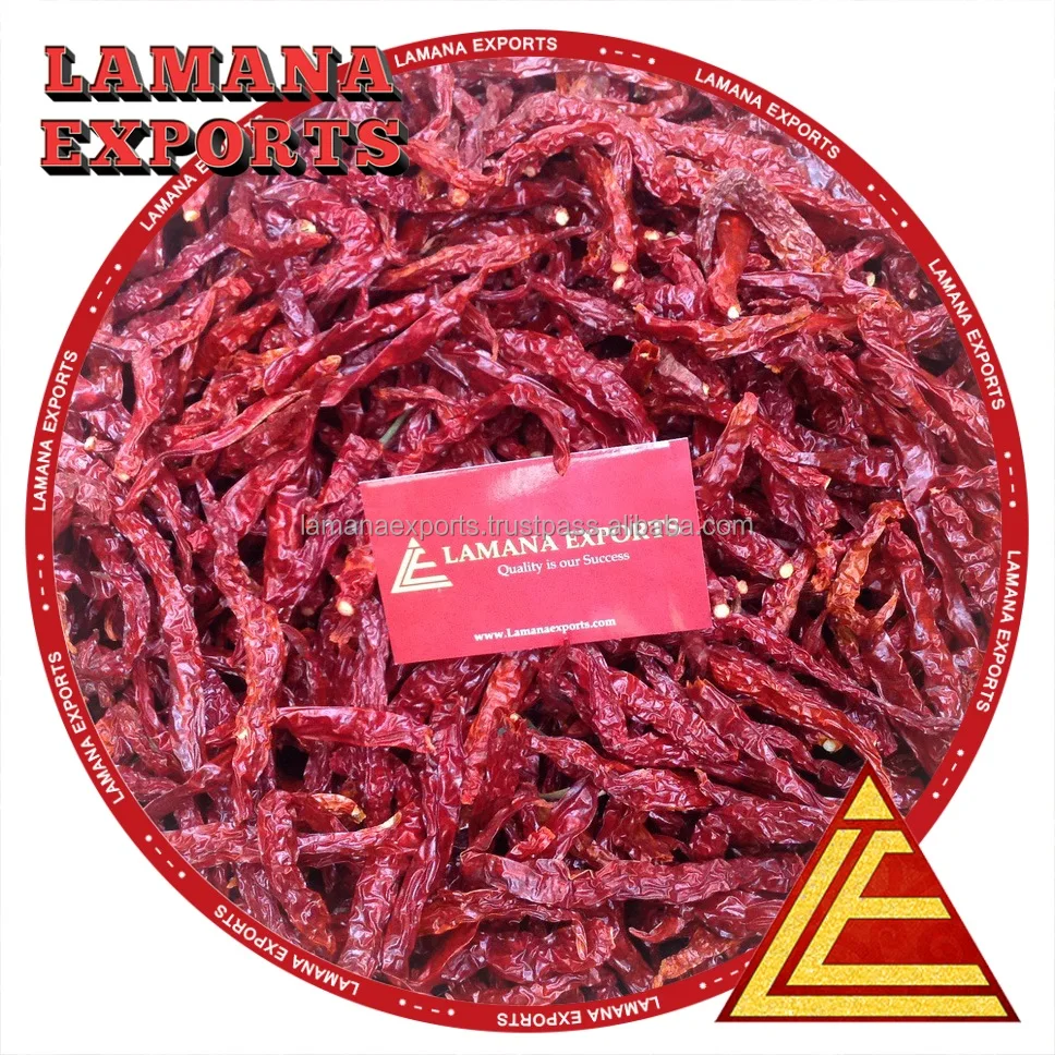 Byadgi Super Dry Red Chilli Byadgi / Byadagi Stemless India Chilli Premium Quality
