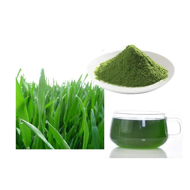 hot selling barley grass juice powder