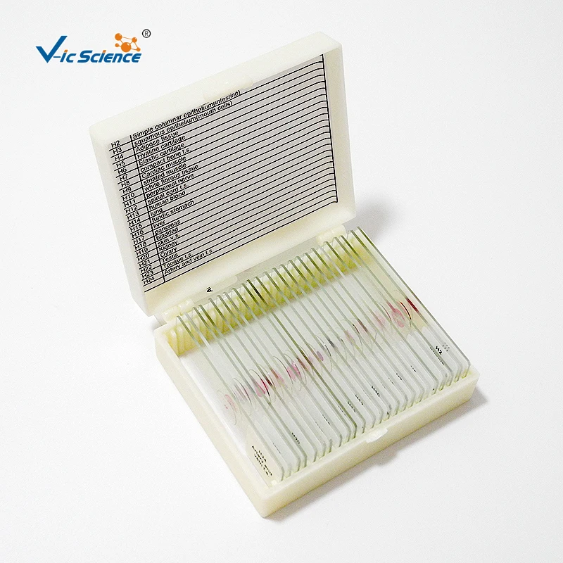 Prepared Pathology Slides Basic Biology Human Tissue Set of 15 Glass Prepared Microscope Slides Pathological Slide