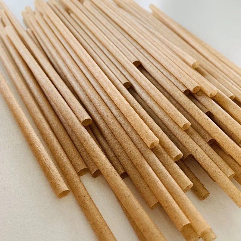 Hot Sale Compostable Biodegradable Fashion Ecological Sugar Cane Straws Sugarcane Bagasse Paper Pulp Straw