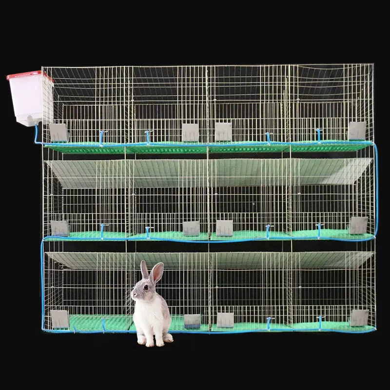 GREAT FARM Hot Sale  Easy Commercial Rabbit Cages Hot Dip Galvanizing Rabbit Cages For Animal Farm