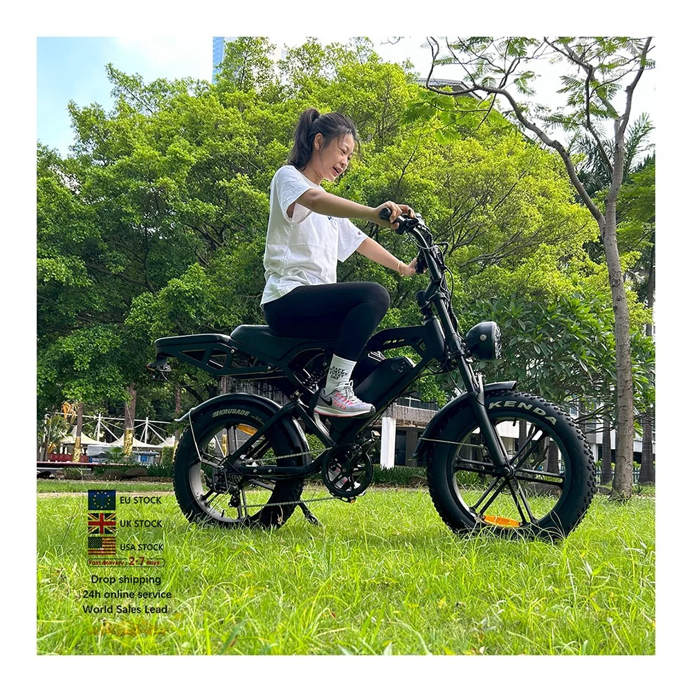 fat bike V20 NL warehouse 20x4.0  wheel 250w motor 36v 11.6ah e bike mountain bike cheap off road