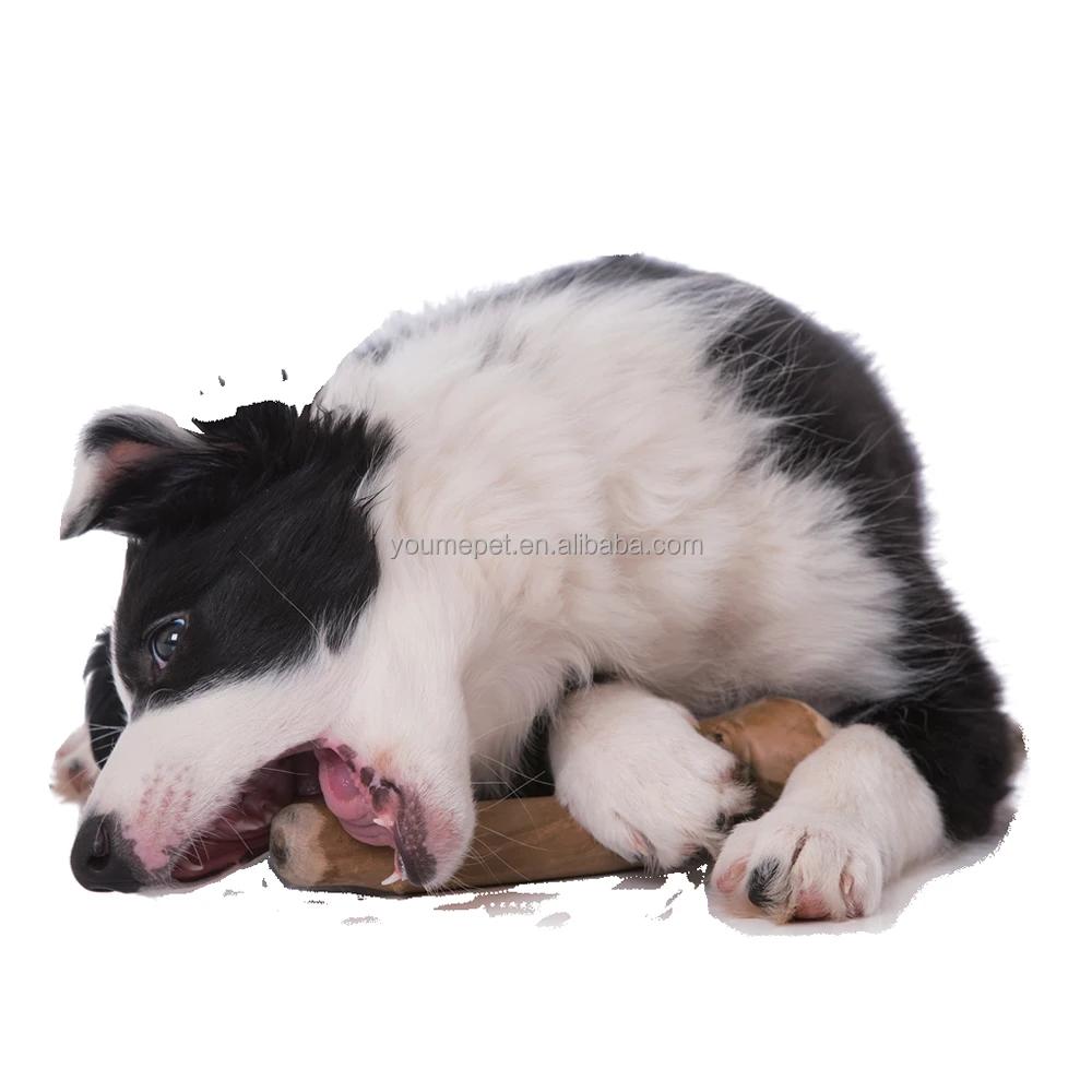 YOUME Factory Price Pet Toys 100% Coffee Wood Natural Coffee Wood Chew Toy for Medium-Sized Dogs