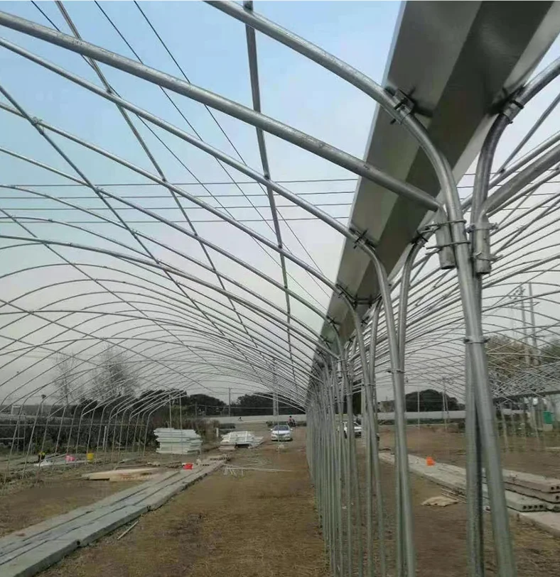 China  plastic  conservatory  ploytunnel winter commercial  chinese tomato/mushroom agricultural plastic film  greenhouses
