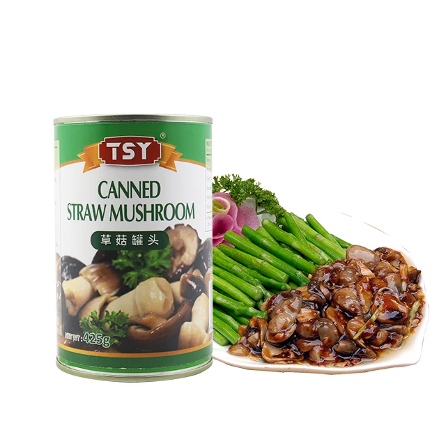 TSY Food Chinese factory Vegetarian Food Vegetables 400g Peeled Wholesales Salted And Tasty Instant Whole Canned Straw Mushrooms