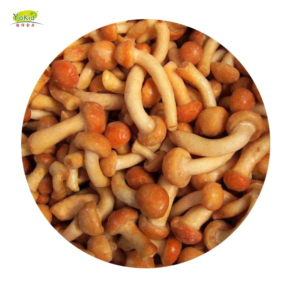 Bulk Distribute Wholesale IQF frozen nameko