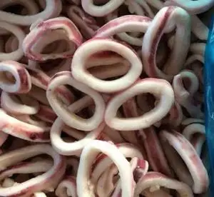 
High Quality Best price Frozen squid ring wholesale fresh seafood hot sale 