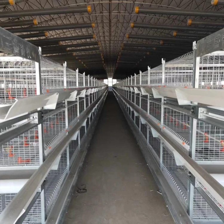 Other Animal Husbandry Equipment chicken cage with animal feeders