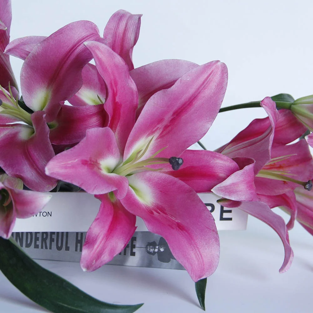 Yunnan Kunming Fresh Cut Flower High Quality Fresh Cut Lily Sino Red Flowers For Florist Decorative Gift