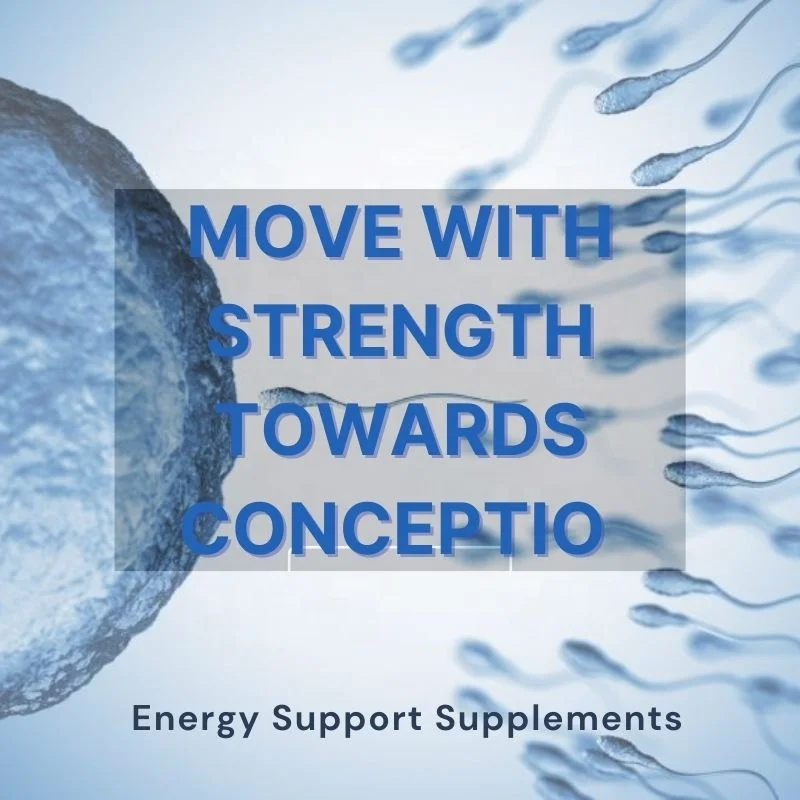 Top Selling Products 2024 Men Fertility Tablet Natural Organic Herbs Male Enhancement Pills Men Fertility Capsules