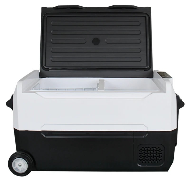 Portable Mini Heating Cool 220V AC DC 12V Camping Car Refrigerator with Freezer