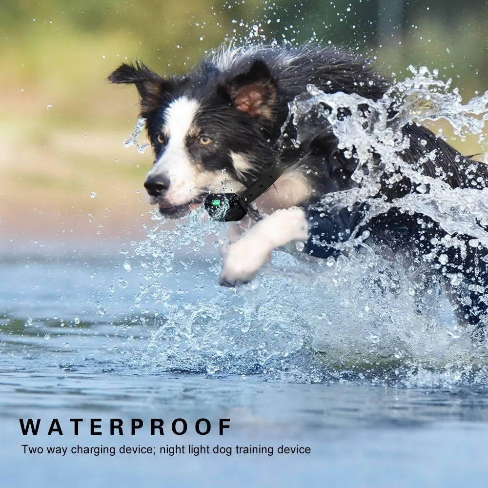  Hot Sales 800m Rechargeable Waterproof Electronic Shock Remote Dog Training Collar