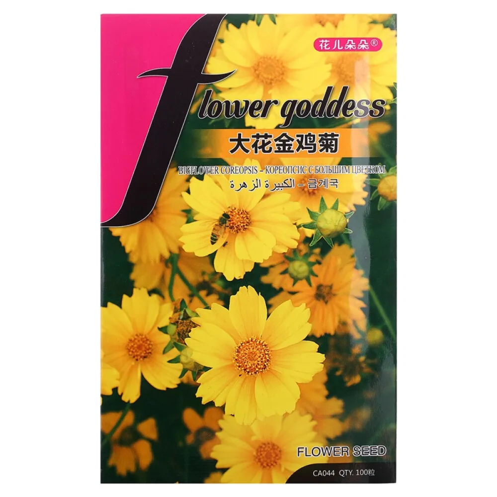 
Ground-cover Chrysanthemum Flower Seed Grandiflorum Morifolium Seeds for planting 