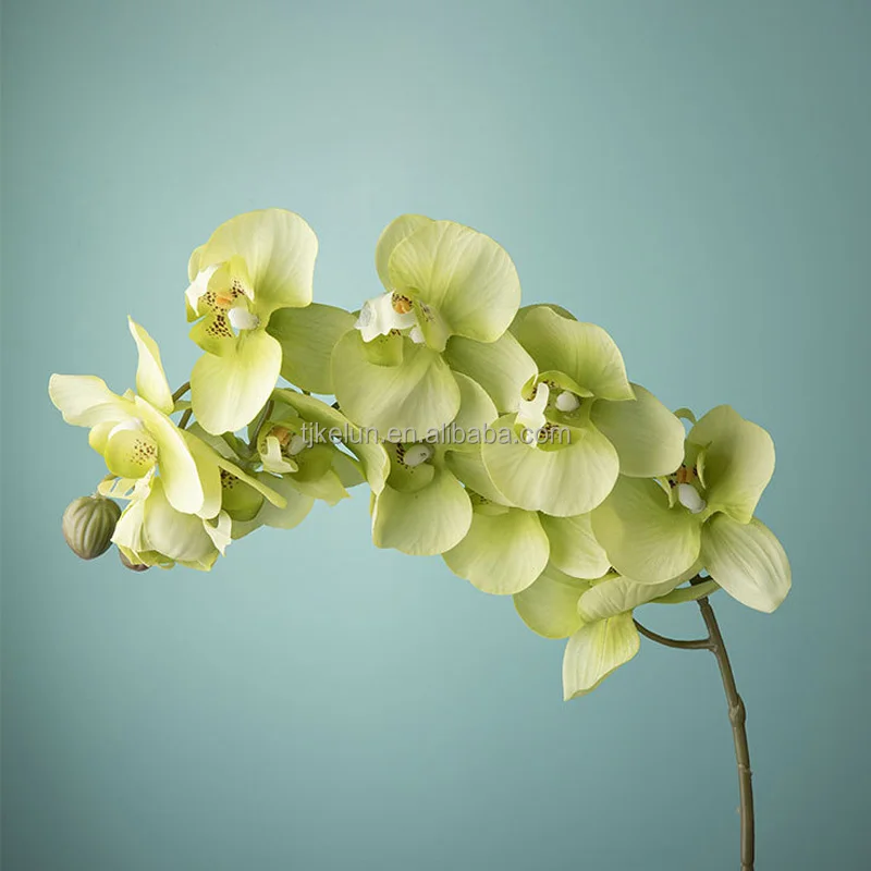 GJ-AF15-6 real to touch flowers phalaenopsis orchids orchid flowers real touch flowers artificial home orchid