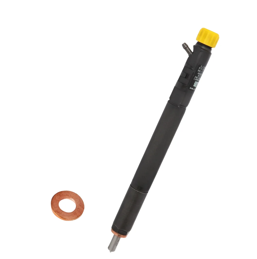 Delphi CRDI Injector EJBR04501D A 6640170121 for SSangYong Actyon Kyron Rexton engine control valve 28239295