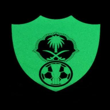 Spray Power Coating Driveway Luminous Paint Luminous Paint