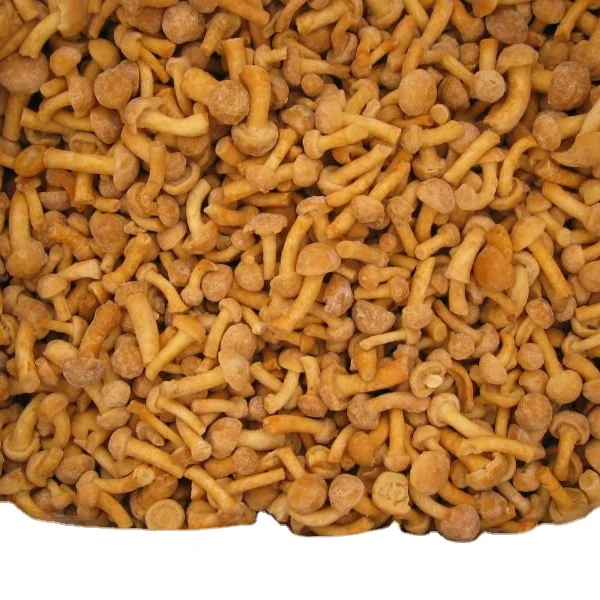 Detan Frozen Nameko for Fungus/Mushroom Buyers