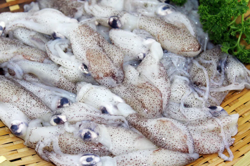 
Frozen squid 3-6cm loligo Whole Round squid on sale 