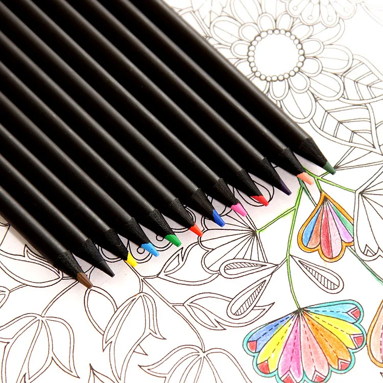 ANI 12 colors color pencil set High quality Eco Friendly  black wood pencil For kids drawing