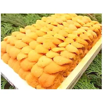
Japanese wholesale fresh sea urchin for sale with good price 