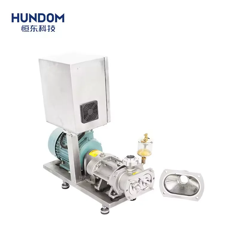 HUNDOM High Quality Sanitary Double Twins Screw Pump For Chili Paste Syrup Jam Pulps Fruit Yogurt