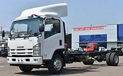 ISUZU Light Trucks Diesel 4x2 single Cab Mini Cargo Lorry Truck for Sale
