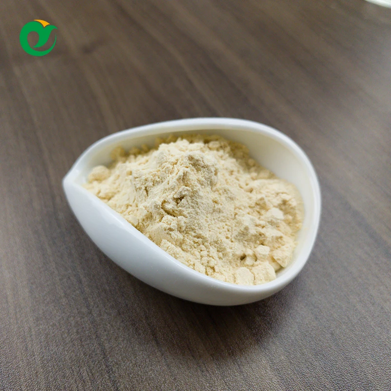 GMP  high quality low price isolate whey protein powder supplement for sports men  creatine for building muscle