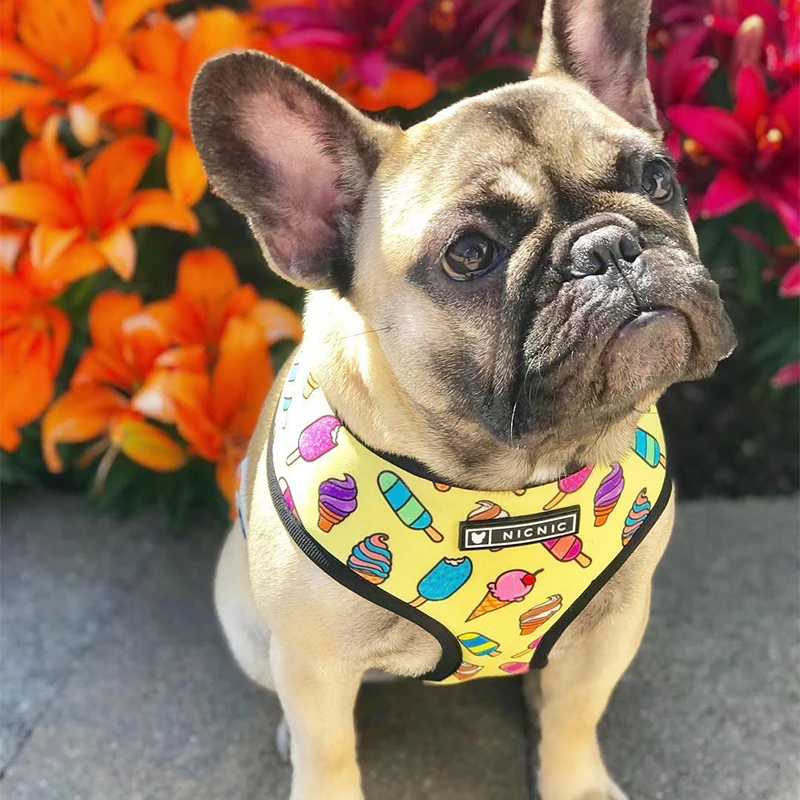 Factory Wholesale Latest Desirable Adjustable Polyester Pet Lovely Dog Harness Leash Set