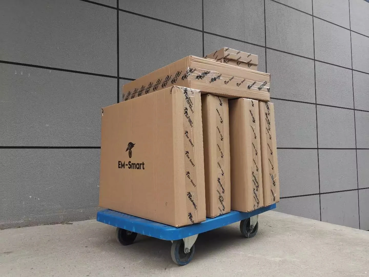  Оптоволоконный лазерный принтер EM-Smart 20 Вт для металла и