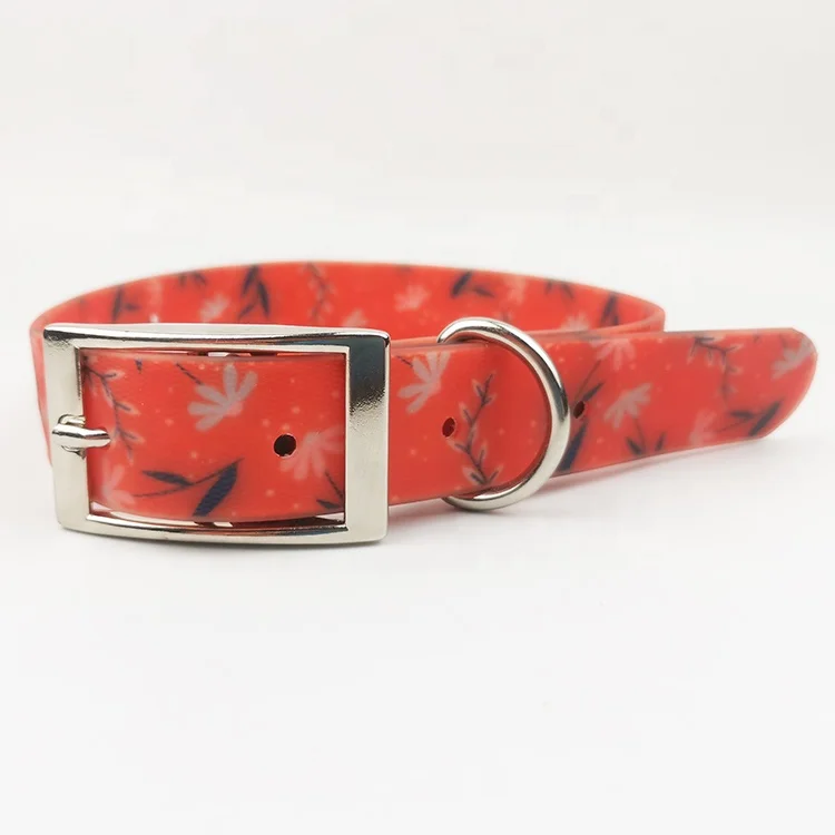 pvc collar and leash (2).jpg