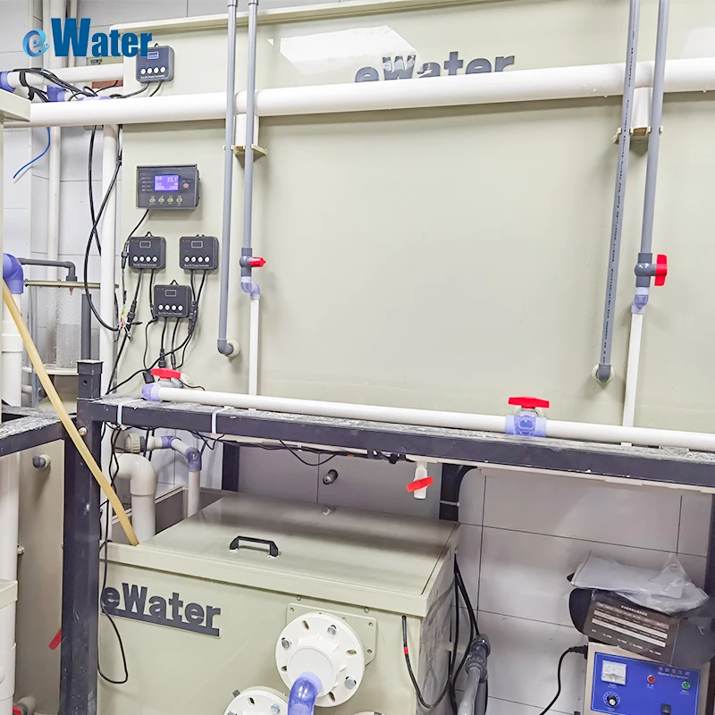 eWater Live Fish Stocking Farming Tank Seafoods Holding System For Mini RAS System