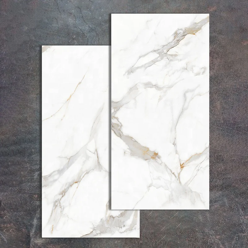 Living Room Floor and Wall Polished Porcelain Tile Project Tile