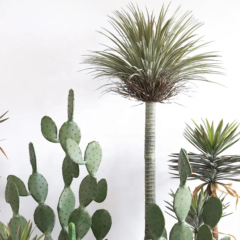 Wholesale Plastic Plantas House Decor Large Artificial Cactus Artificial Bonsai Plant Artificial Plants And Flowers