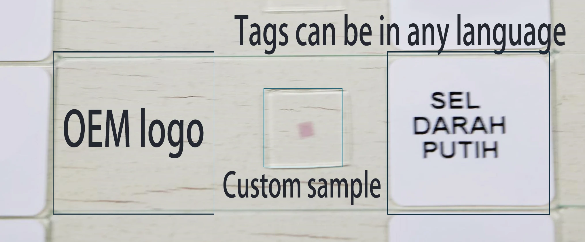 Medical Research Higher Education Biology Teaching Microscope slides Microbiology  mixed slides 50 pieces